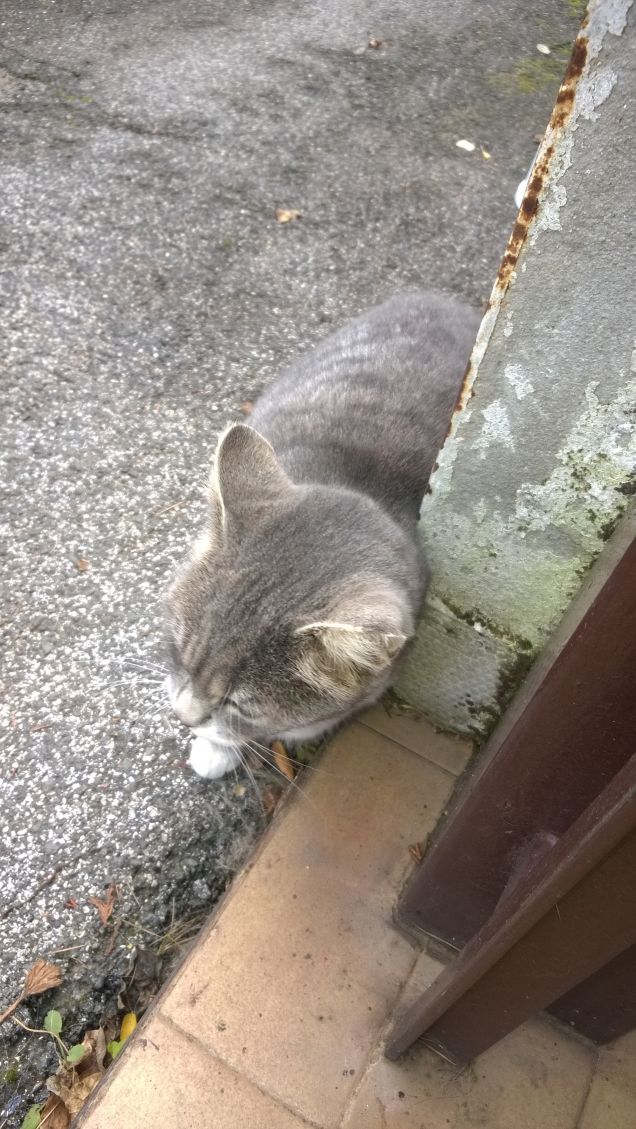 Lei e il muro sono una cosa sola.