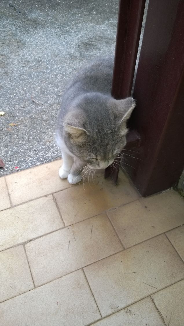 Vorrei entrare...si può?