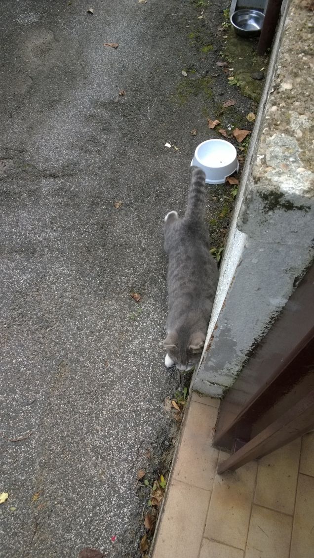 Ok per oggi basta cosi.