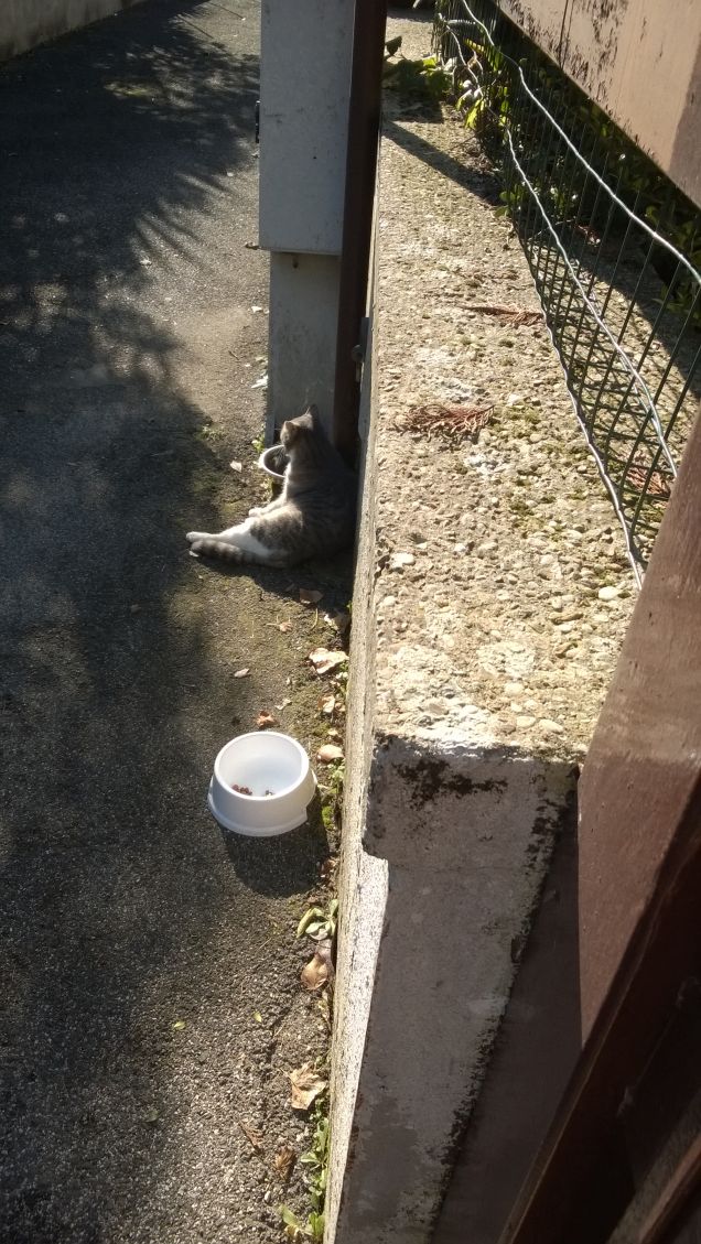 Sdraiata al sole si sta bene.