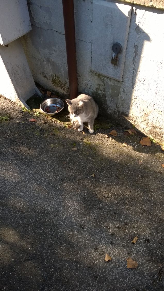 Il sole bacia i belli.