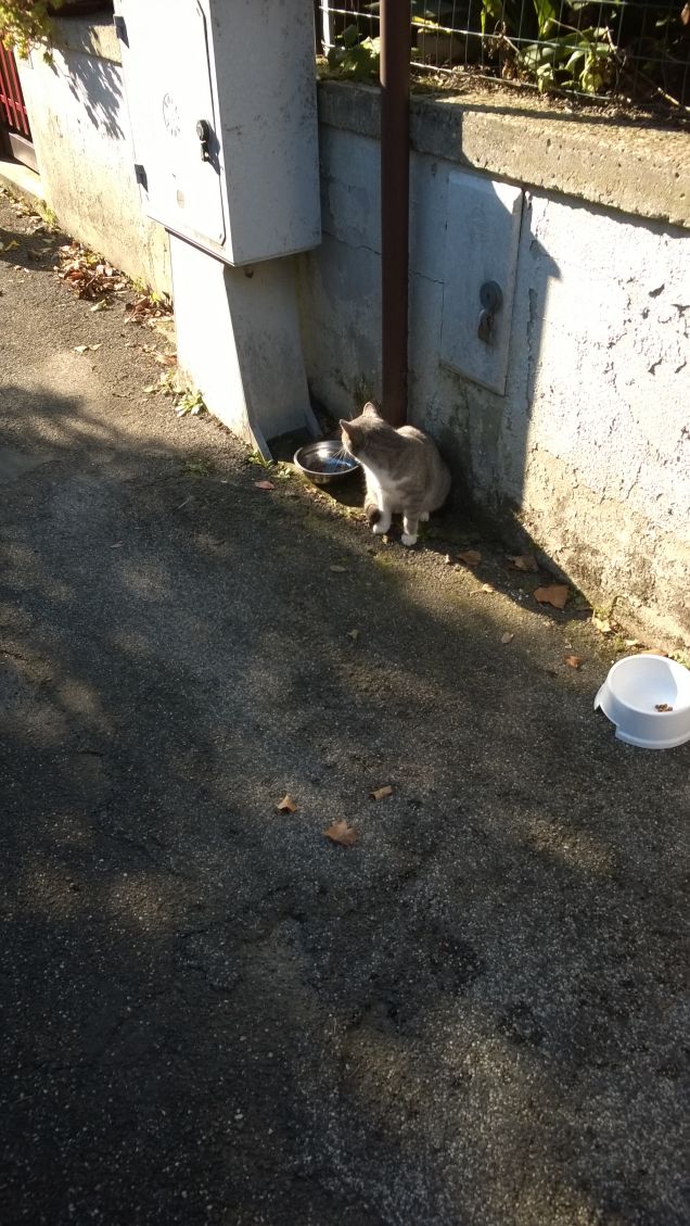 Da qui non mi muovo più.