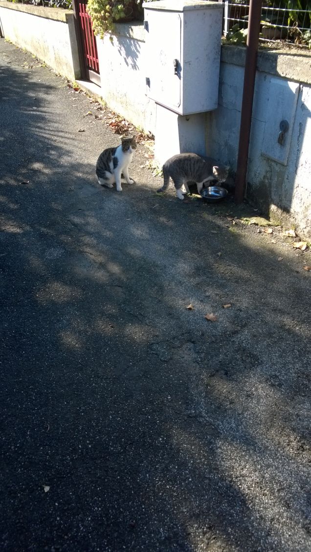 Lui non poteva mancare.