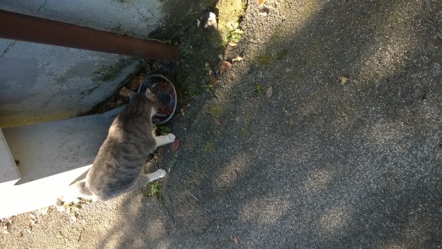 Colazione da Tiffany.