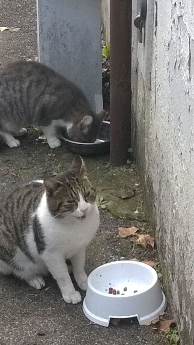 qualche aspetto del suo carattere ci rimane sempre un po’ sconosciuto.