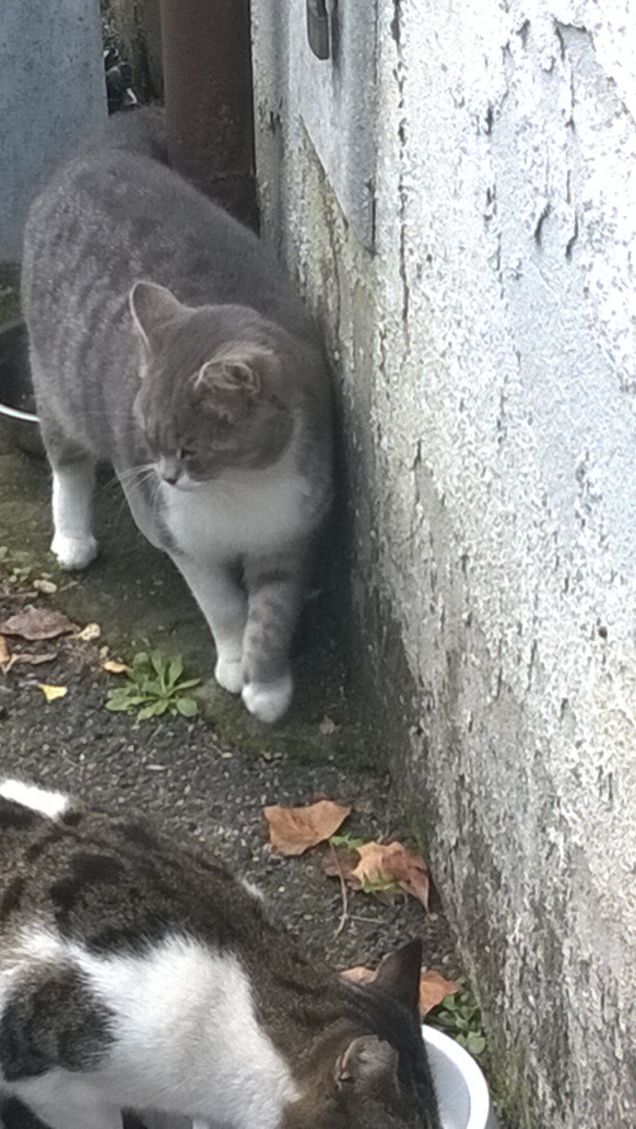 Gli amici dallo spirito libero.