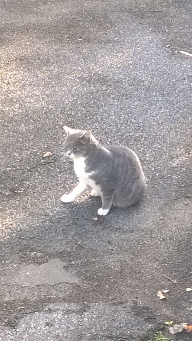 La vita gli sorride.