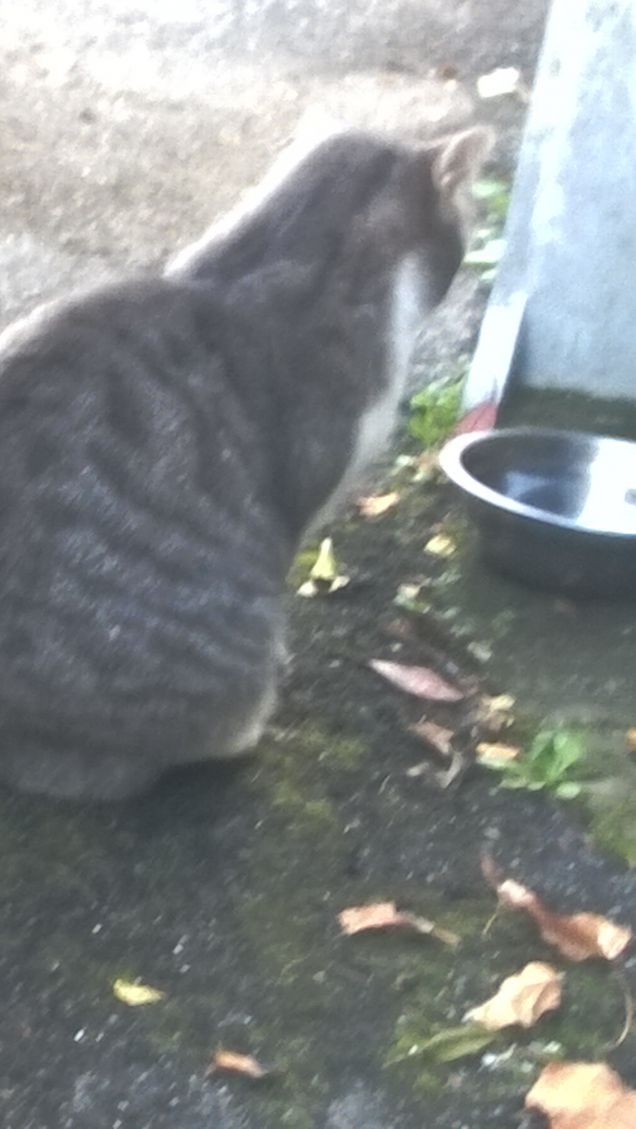 Se la guardo forse si riempie.