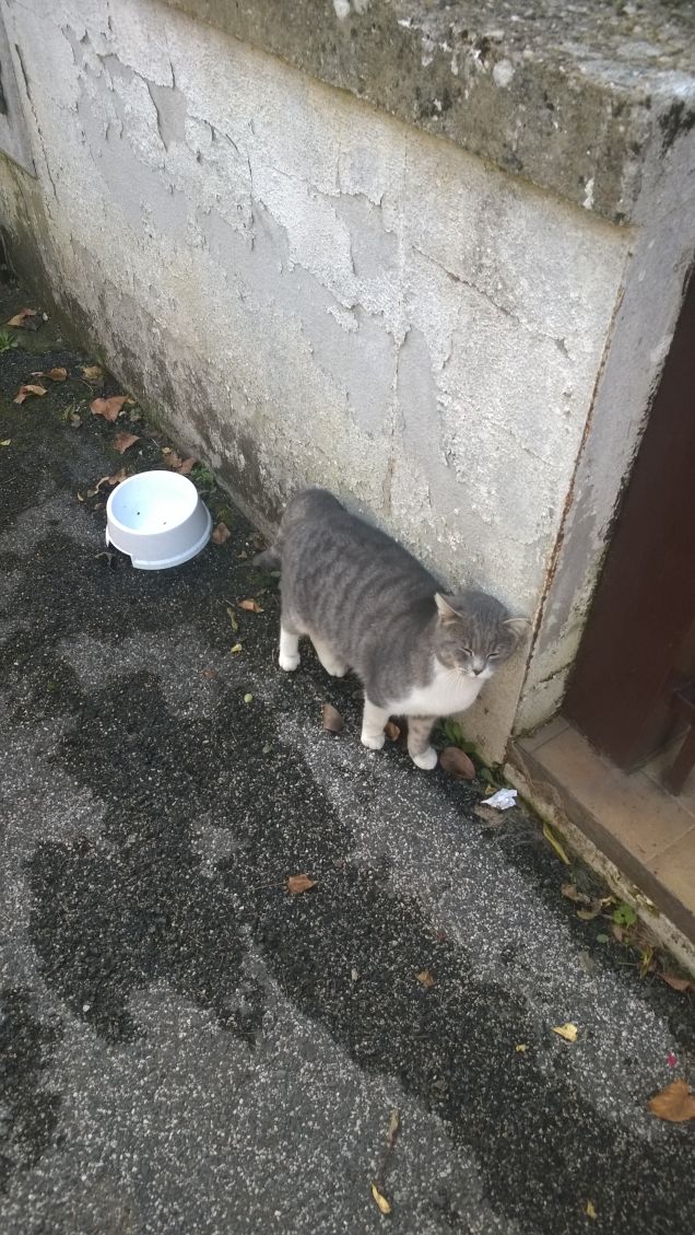 Gradirebbe uno spuntino.