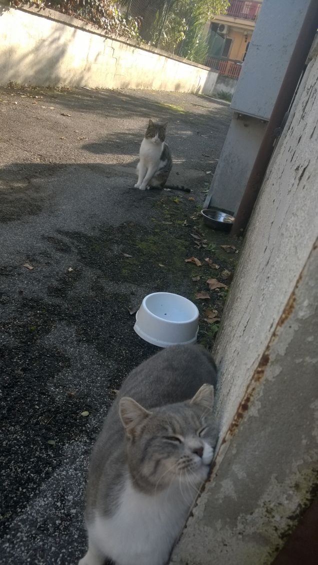 Mi piace quando sta seduto.