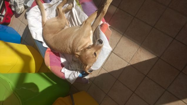 Oggi sembra una giornata di primavera.