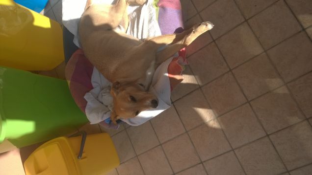 Vederlo cosi tranquillo e rilassato è una grande gioia.