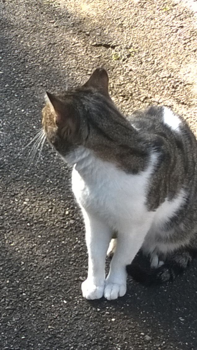 Dietro di lui cosa ci sarà?