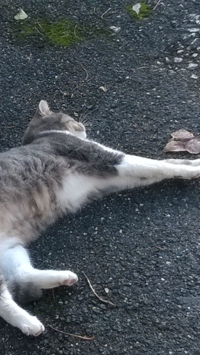 Che bello vederla cosi.