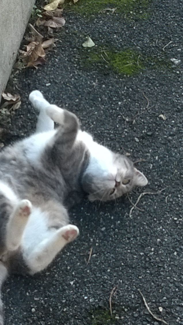 Ha voglia di giocare.