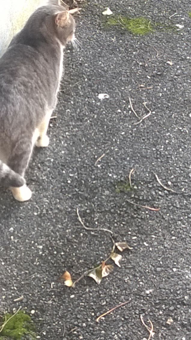 In vi di esplorazione