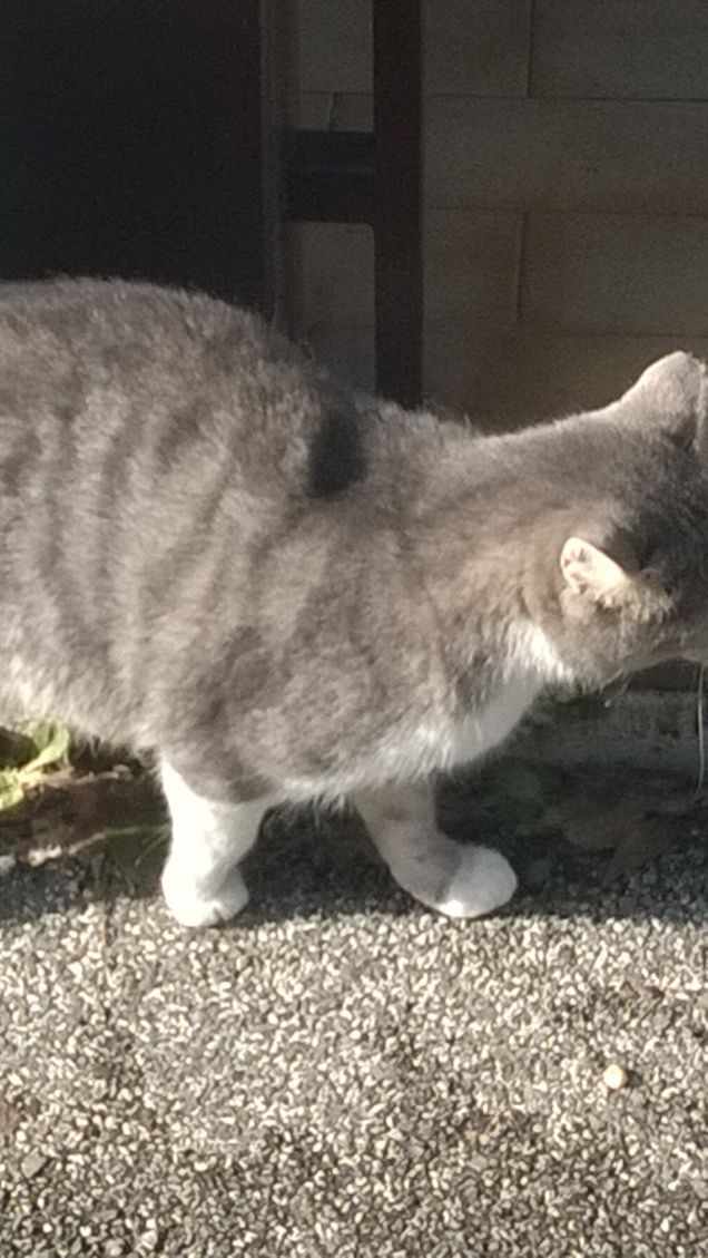 Piccola ma molto indipendente.