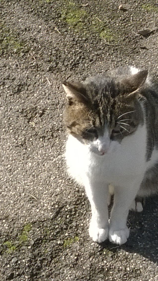 Pensa che ti ripensa.