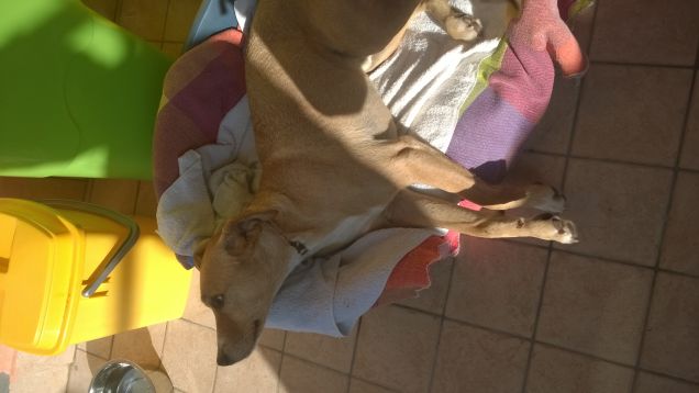 Siamo quasi in Inverno e sembra Primavera.