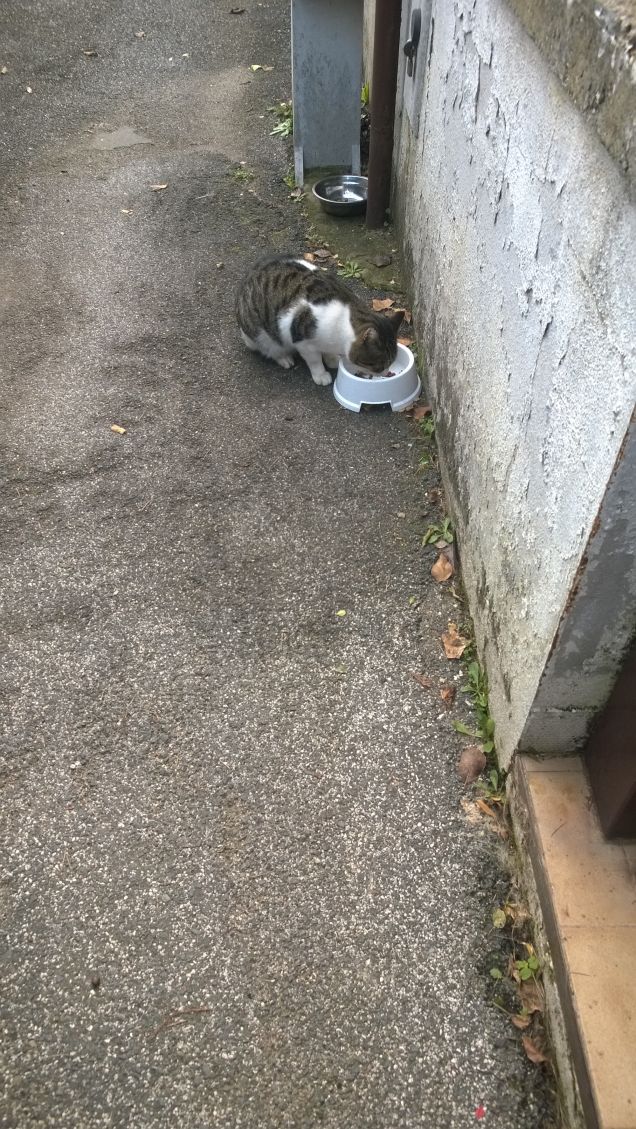 finalmente si mangia...gnam gnam.