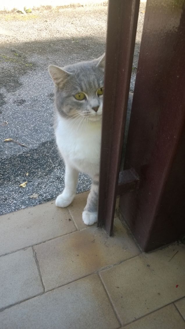 La mia Tigrotta Bellissima.