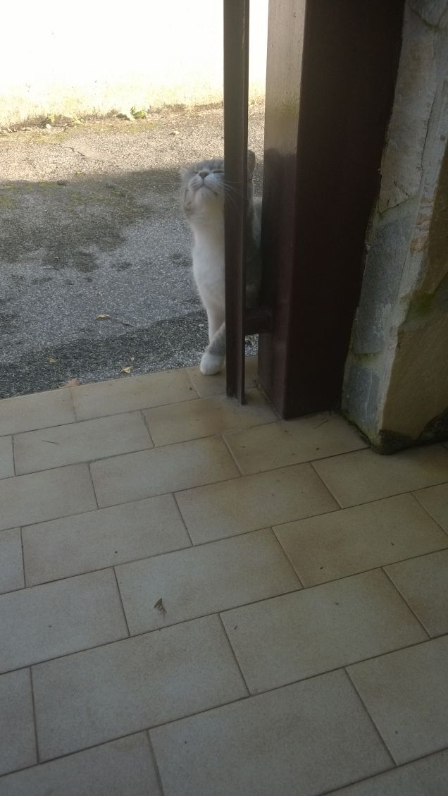 Una micia dalla dolcezza infinita.