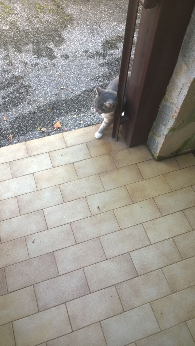 Miciolina dolcissima.