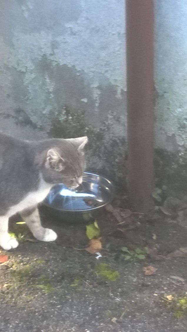 Un pò di sole nell'acqua gelida.