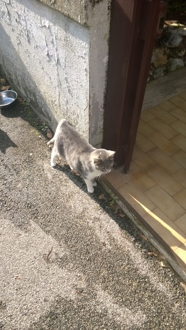 La mia preferita dolcissima.