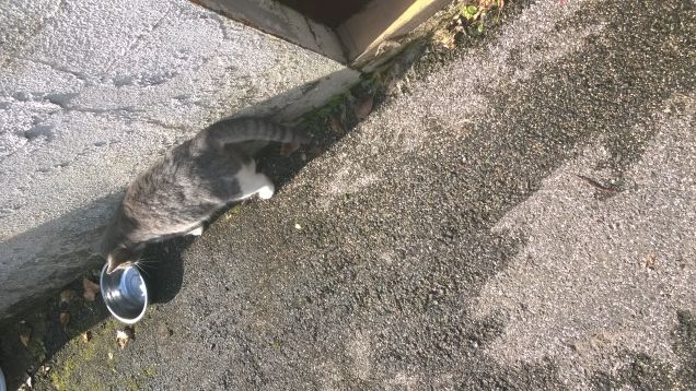 Ormai è un'appuntamento fisso.