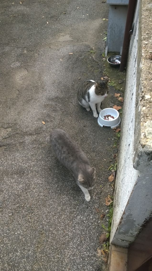 Una coppia perfetta.