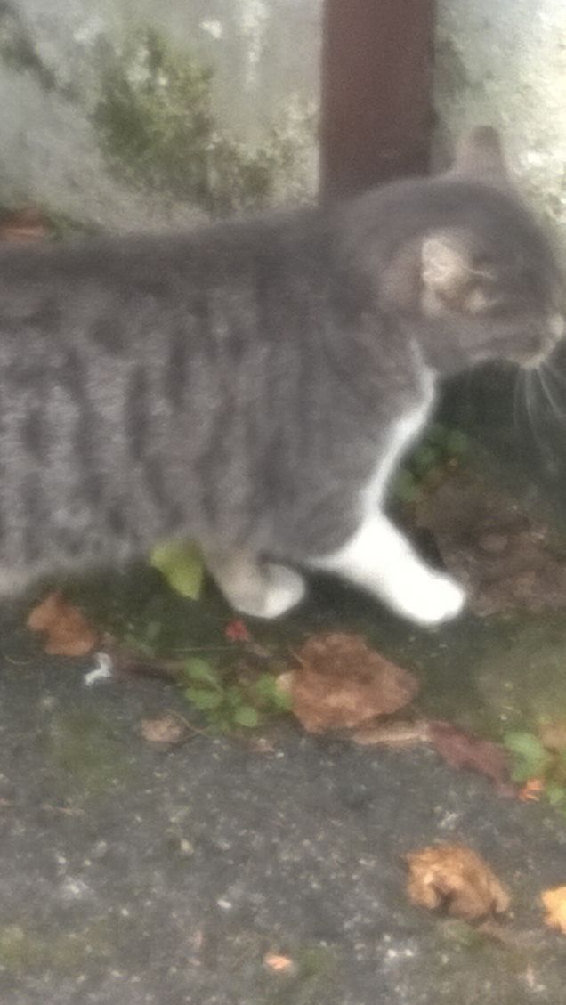 Buona giornata atutti voi.