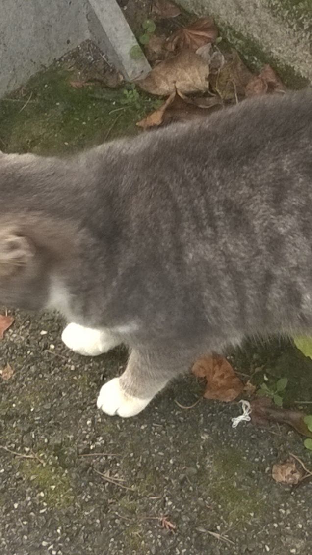 Mi vedo e non mi vedo.