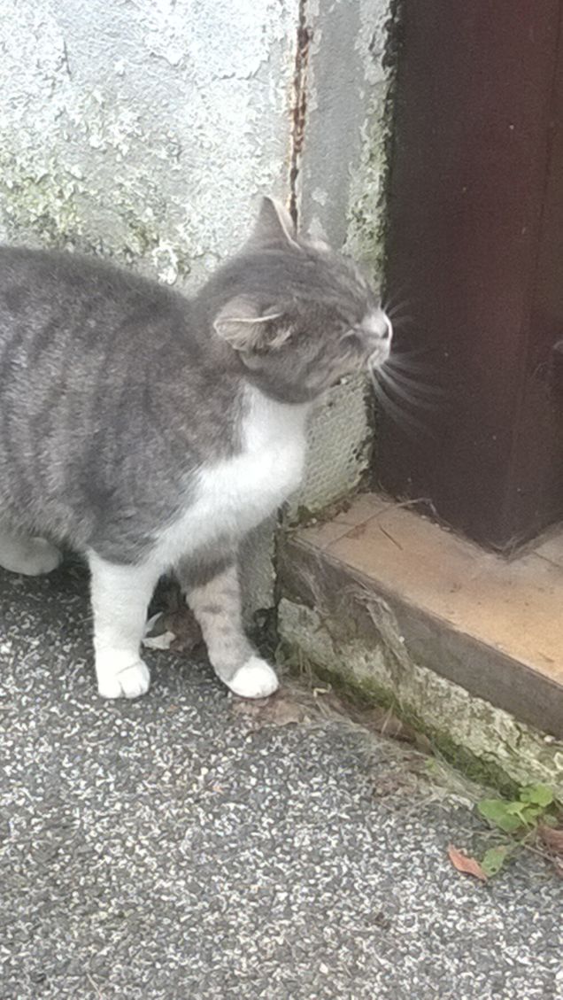 Sono qui ma non entro.