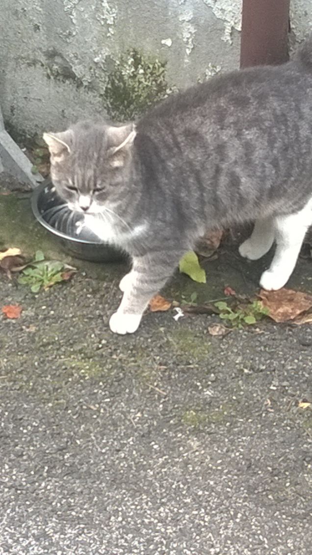 La luce del mattino la rende ancora più bella.
