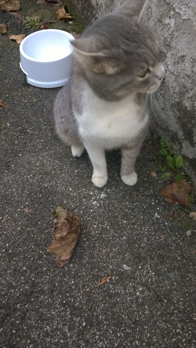 Buongiorno princess.