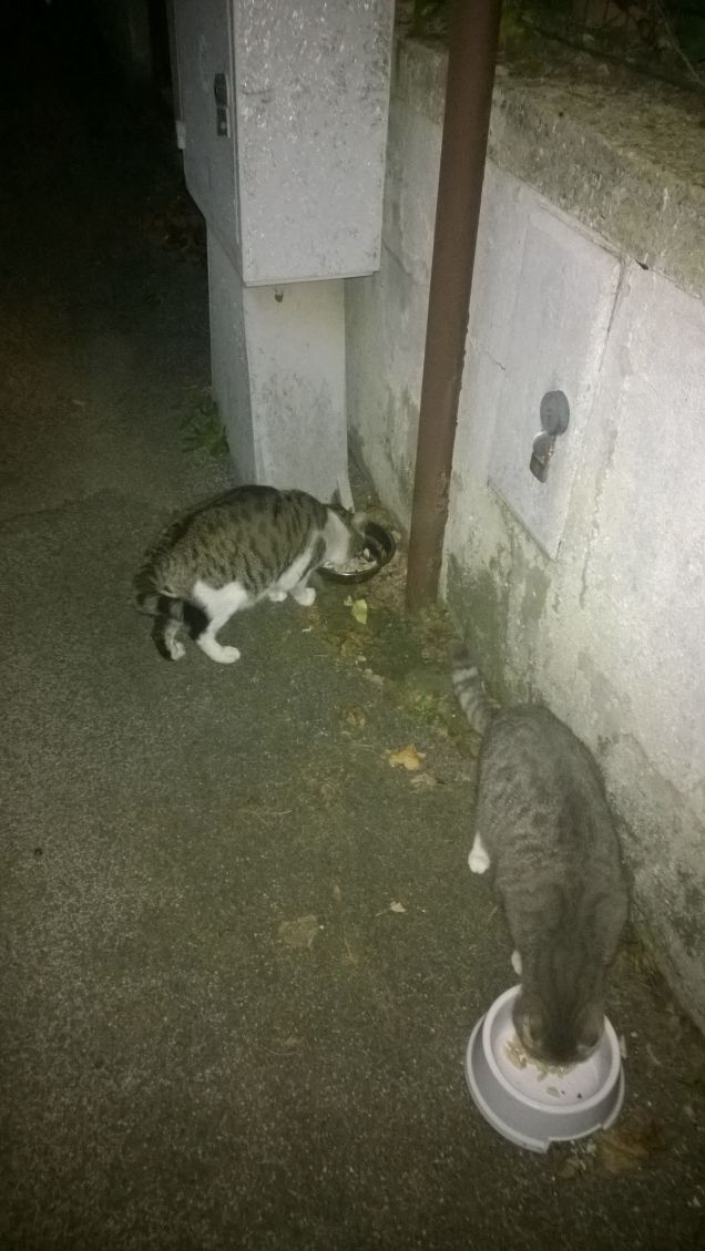 E' dura l'avventura.