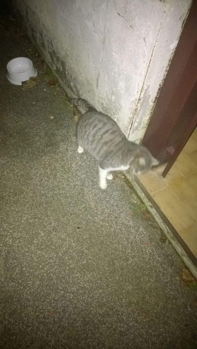 Vorrebbe entrare ma non ne ha il coraggio.