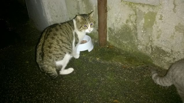 Sono la mia ragione di vita.