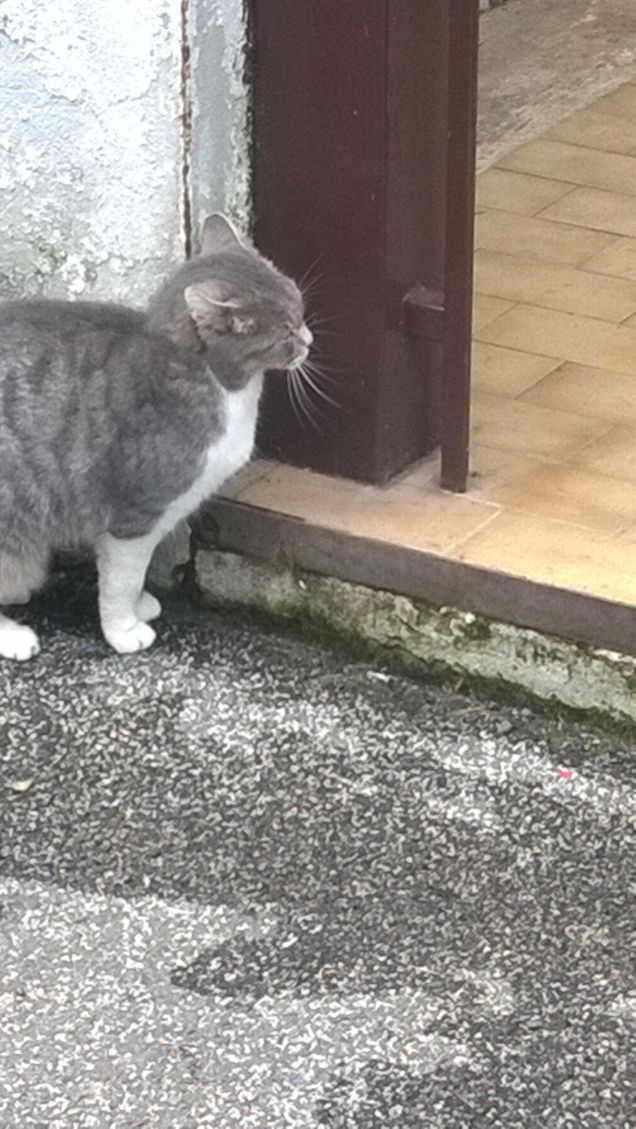 Si mette in tutte le pose.