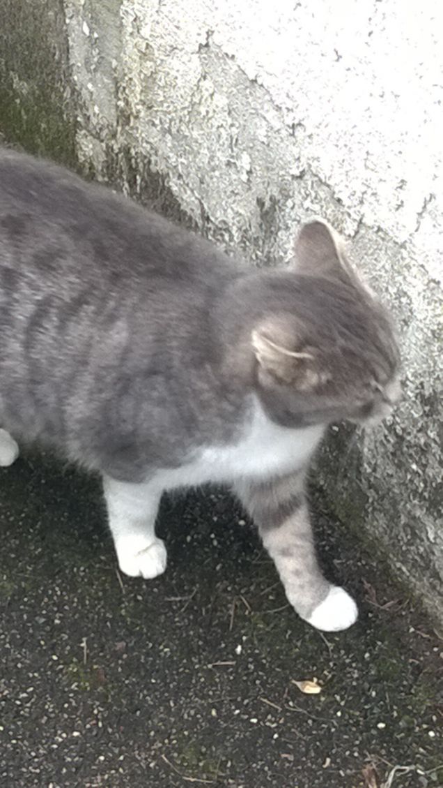 Mi voglio far vedere.