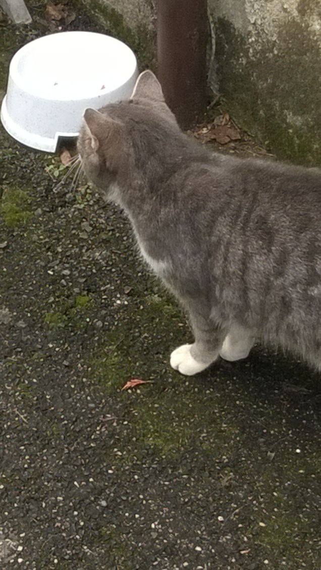 Un essere veramente speciale.