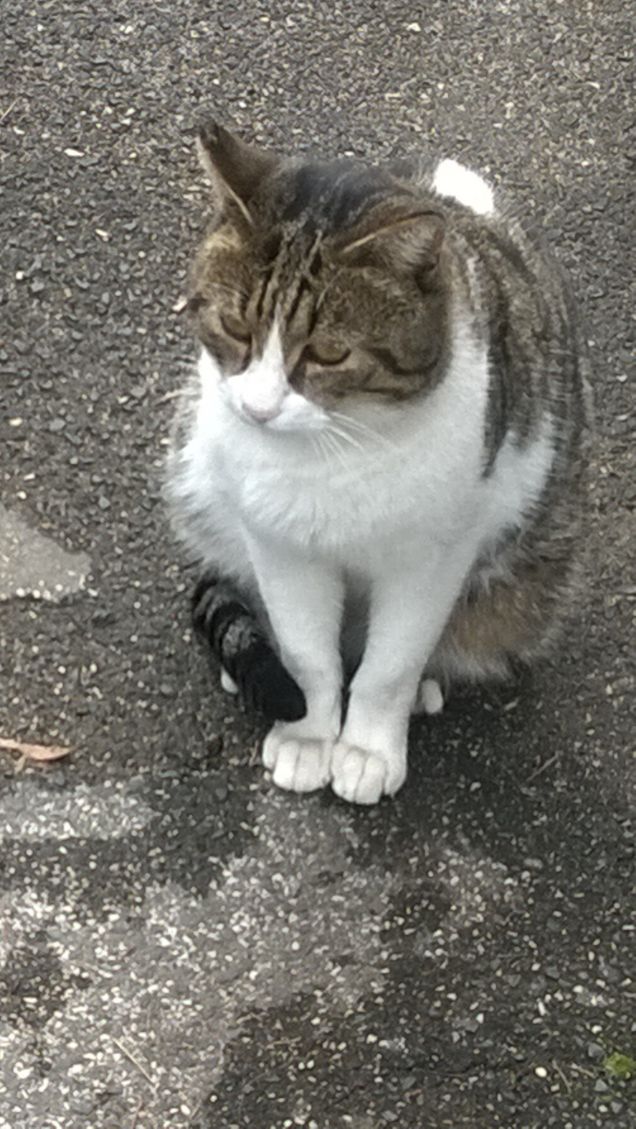 Finalmente si è placato.