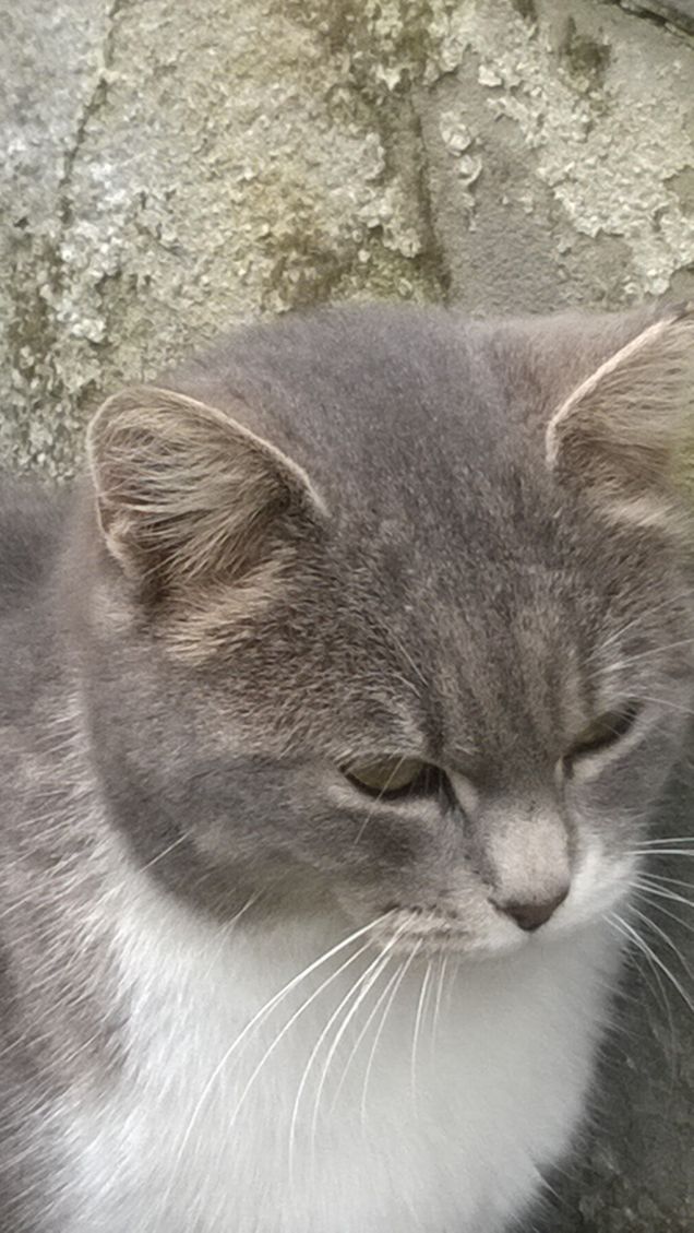 Una visione più bella non c'è.