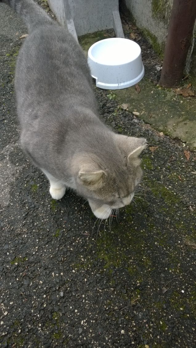 Il buongiorno si vede dal mattino.