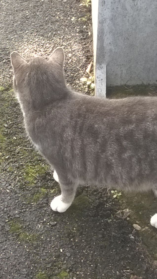 Guardando la vita scorrere.