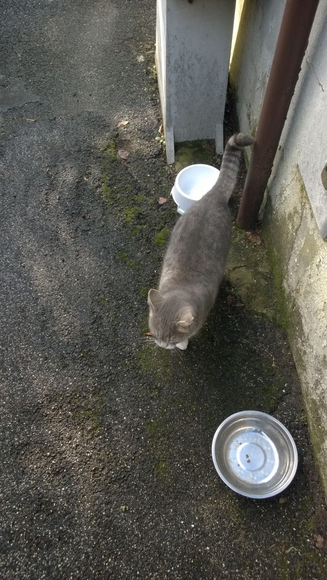 Beata fra le ciotole.