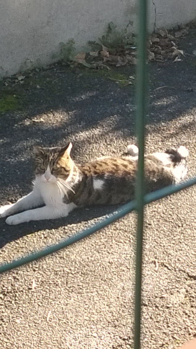 Finalmente un pò di sole.