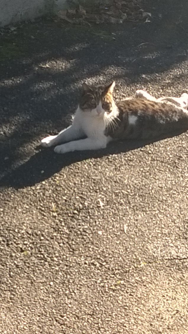 In posa per le foto.