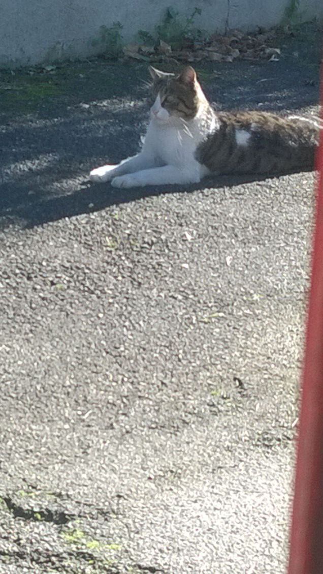 Calmo tranquillo e rilassato.